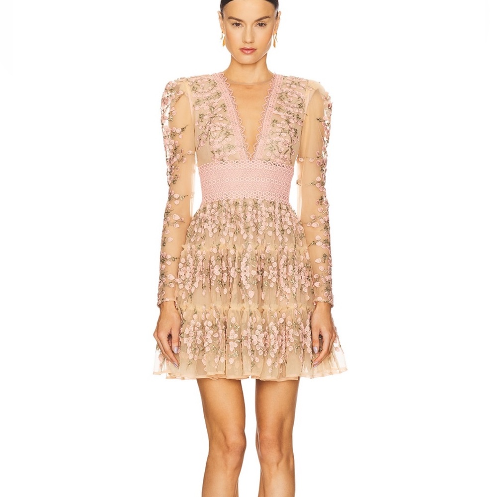 Bronx and Banco Megan  Embroidered V-Neck Mini Dress in Rose